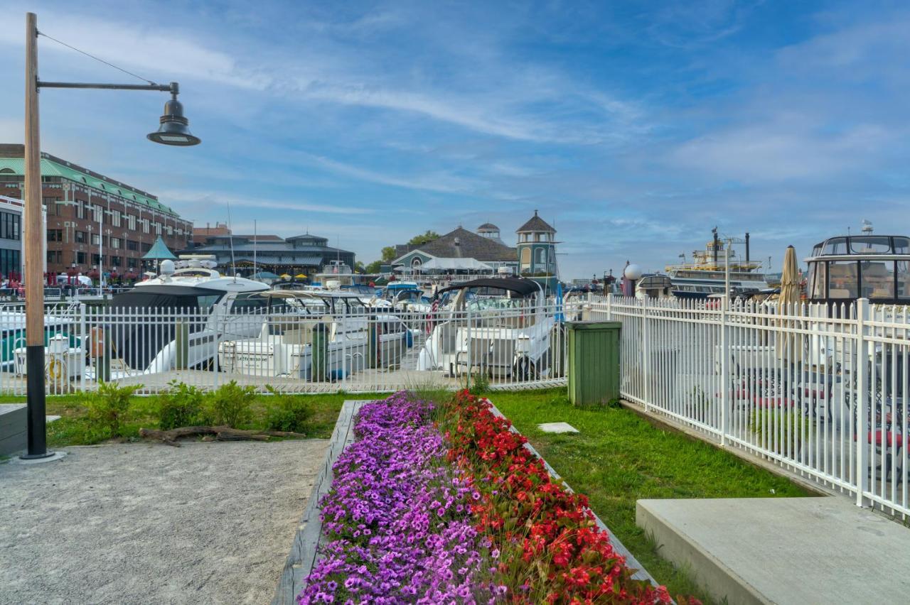 The Payne House Old Town, Metro, Free Parking Βίλα Alexandria Εξωτερικό φωτογραφία